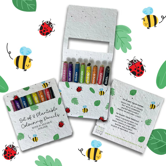 Colouring Pencils - Bug Bonanza