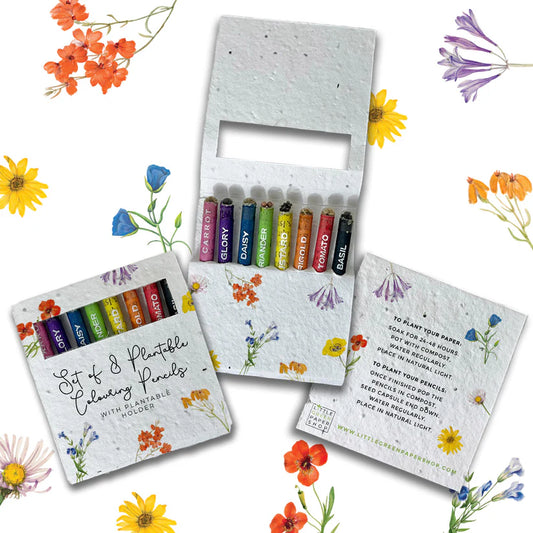 Colouring Pencils - Wildflowers