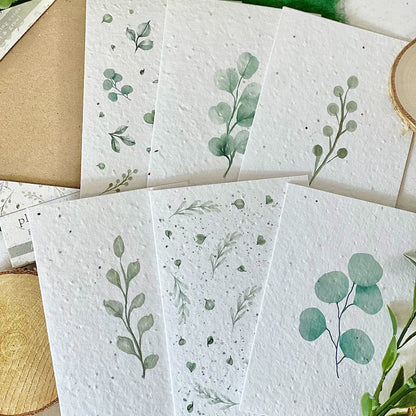 Greeting Cards Multipack - Eucalyptus Embrace