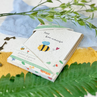 Greeting Cards Multipack - Bug Bonanza