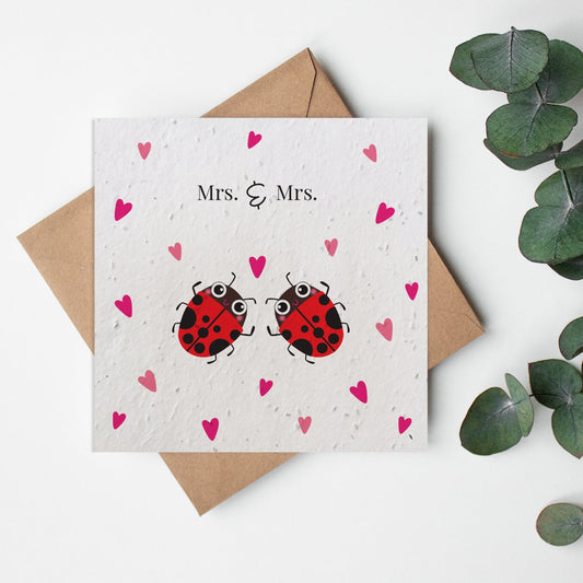 Bugs - Mrs and Mrs bees